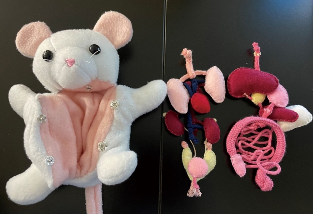 学習用の標本模型の作成
