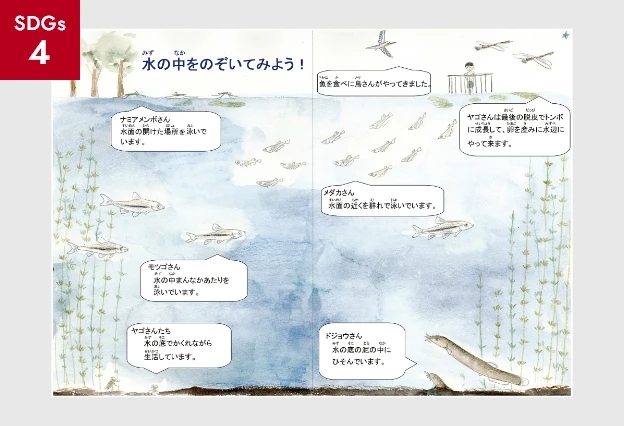 水生生物の絵本製作（環境教育用）