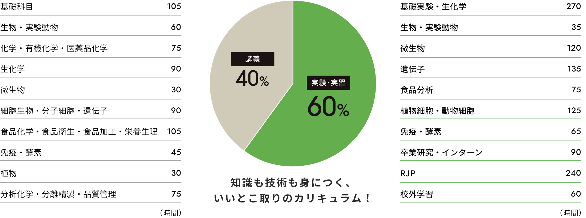 知識も技術も身につく、いいとこ取りのカリキュラム！