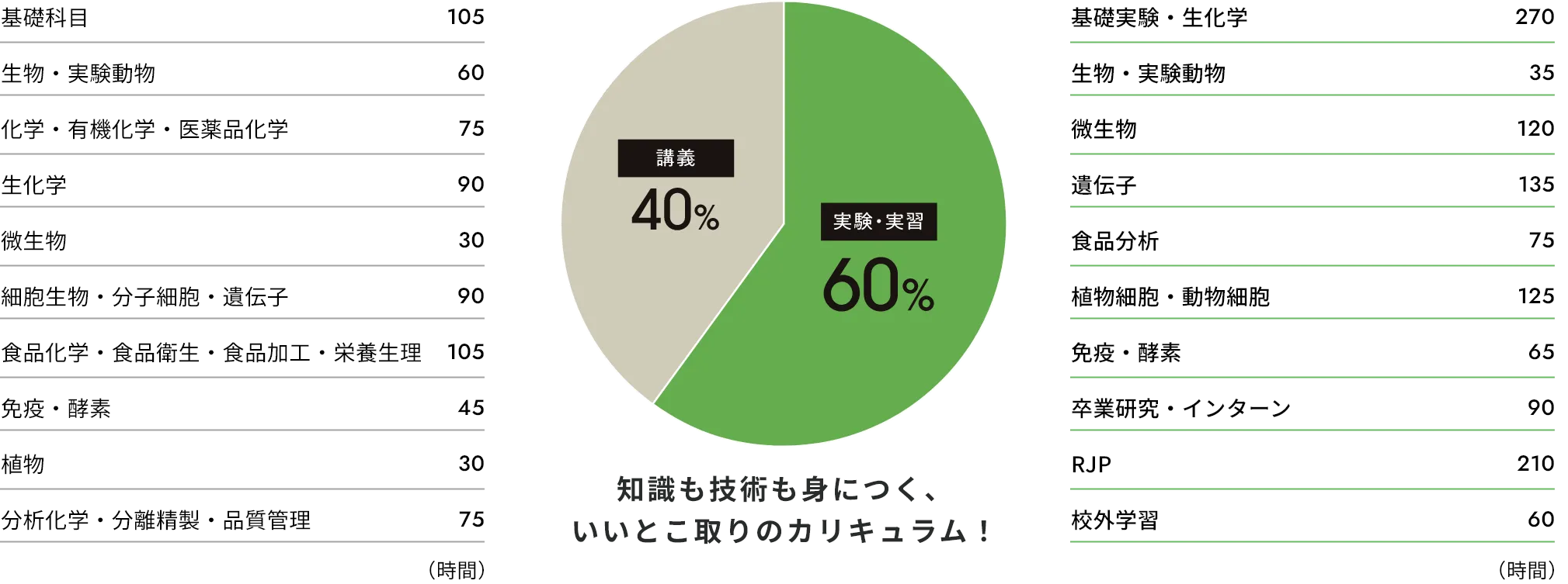 知識も技術も身につく、いいとこ取りのカリキュラム！