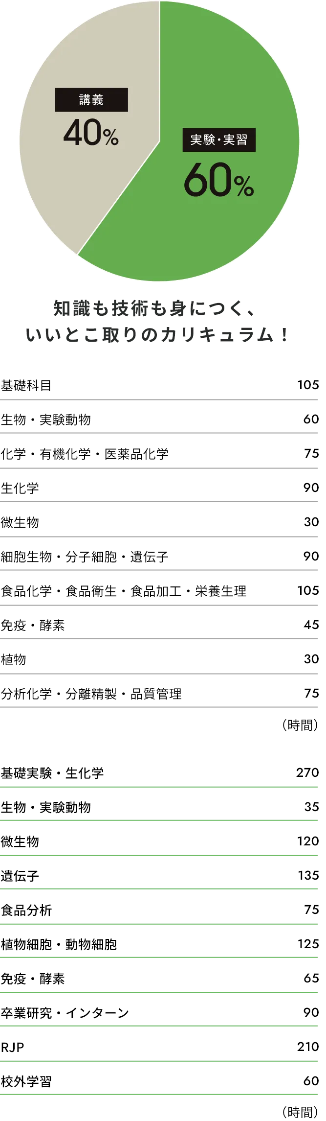 知識も技術も身につく、いいとこ取りのカリキュラム！