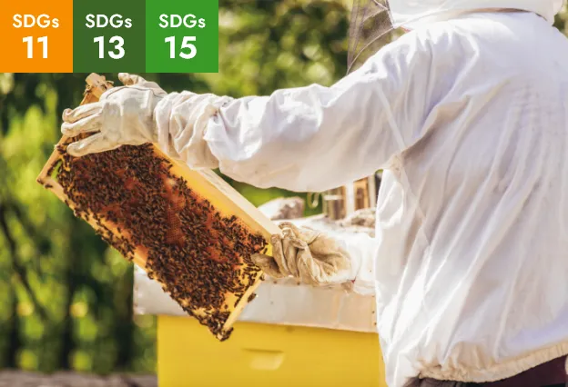 都市型養蜂の調査