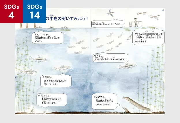 水生生物の絵本製作（環境教育用）