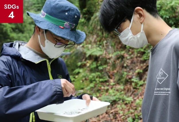 檜原村矢沢川の水生生物調査