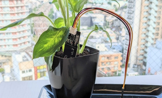 植物をしゃべらせてみよう！