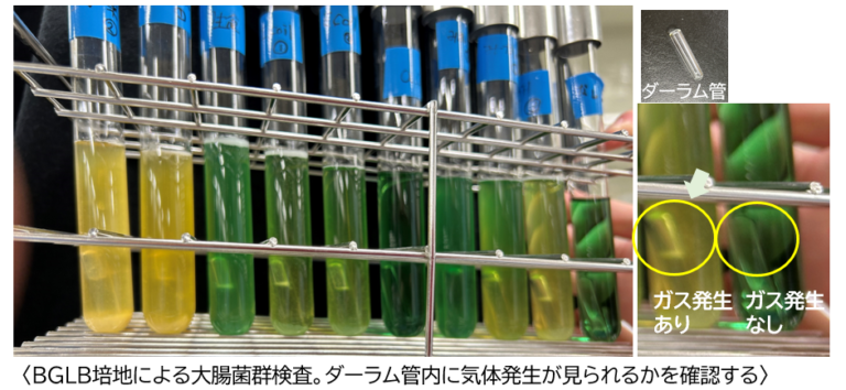 大腸菌・大腸菌群検査で食品の衛生管理を学ぶ! (東京テクニカルカレッジ バイオテクノロジー科 応用微生物学実習)〔138〕 | 東京新宿から4 ...