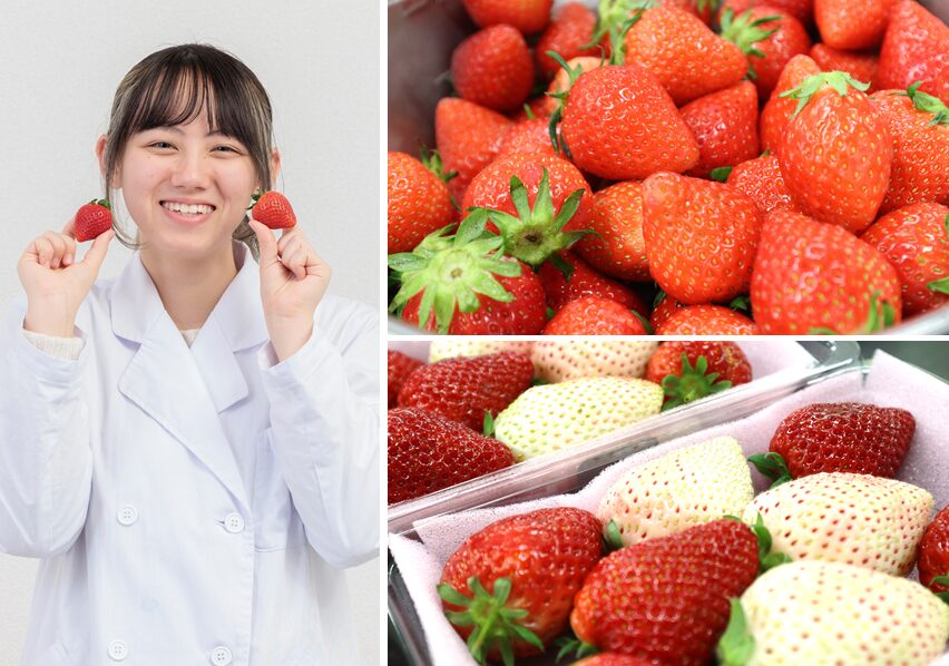 【バイオ】あなたの知らないイチゴの世界。