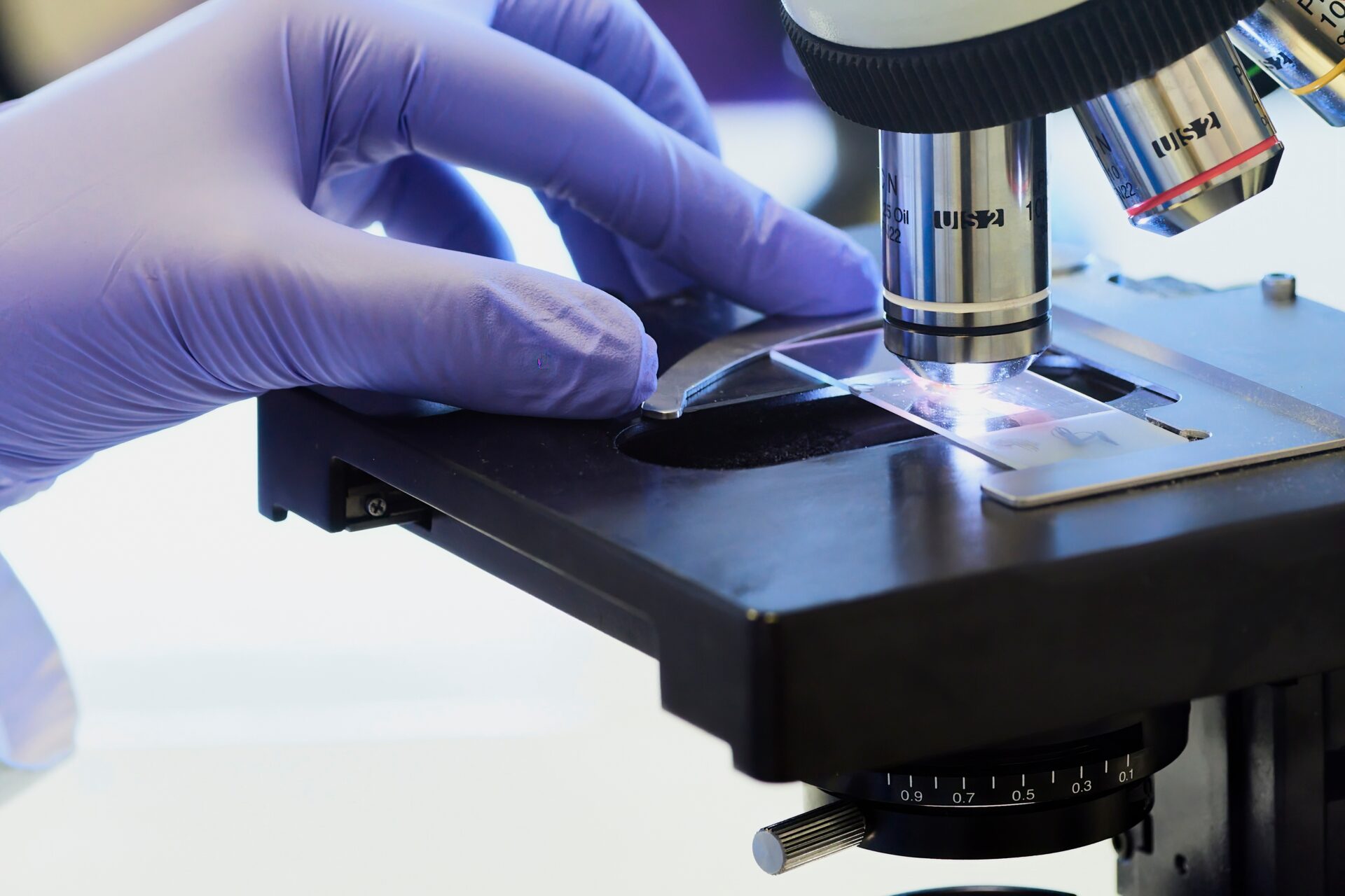 世界中で研究されるヒト細胞培養をシミュレーション