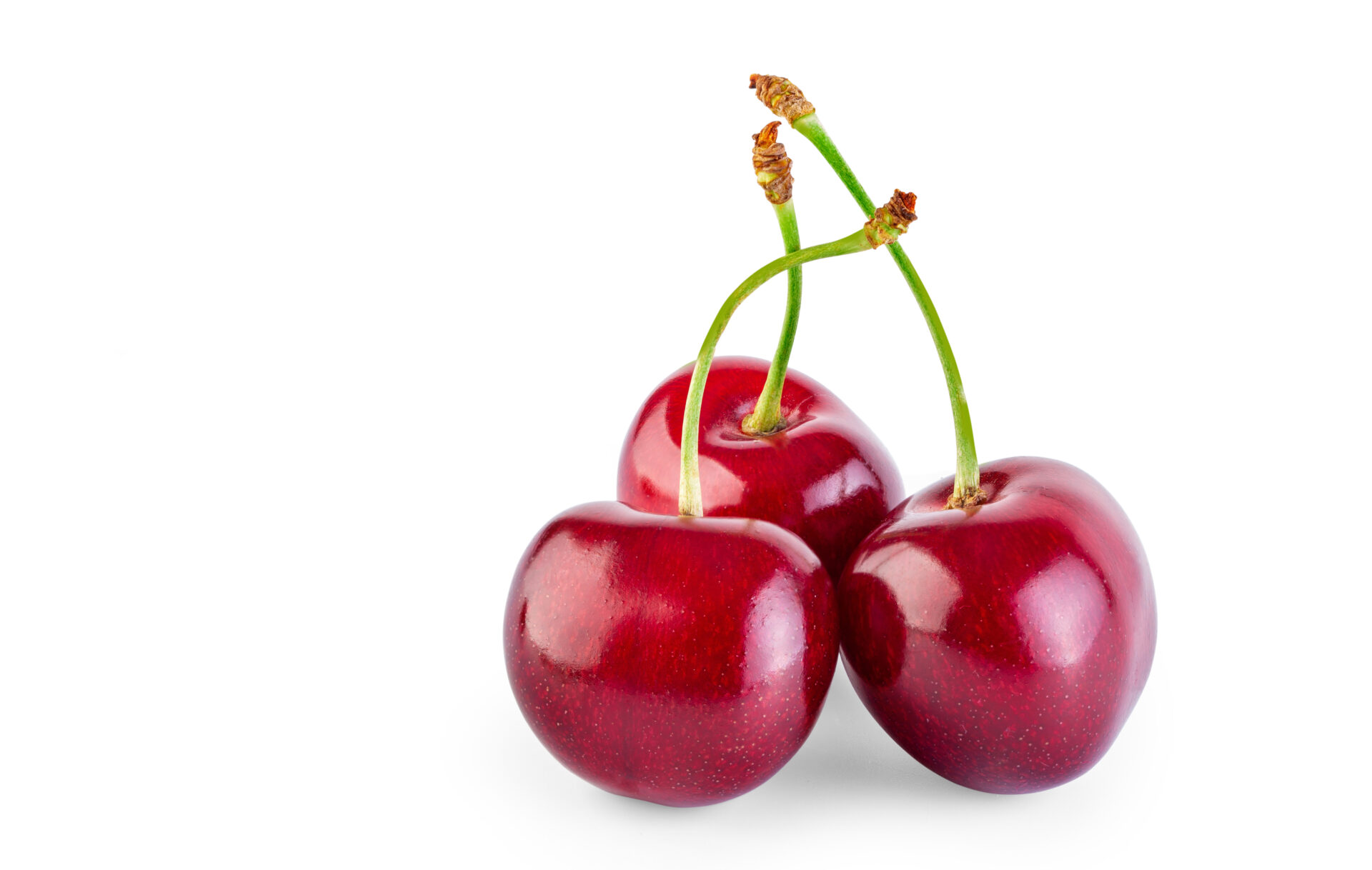 さくらんぼ食べ比べ！食べて甘みや酸味を評価して五感で楽しもう！